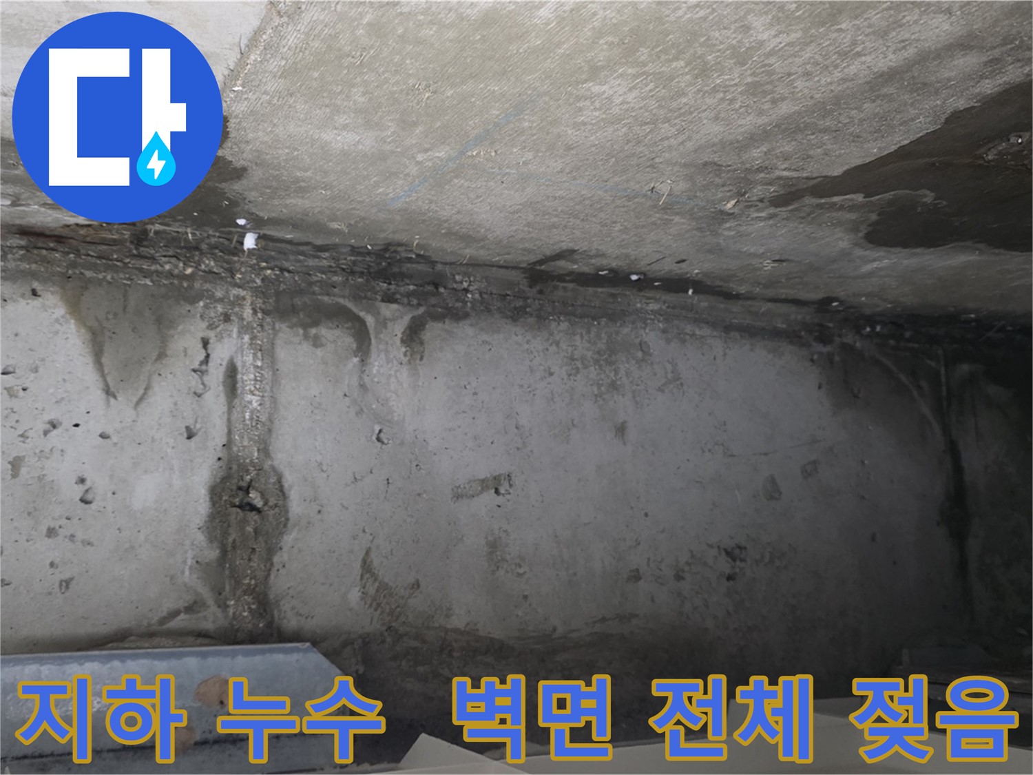 남양주 건물 지하 누수 - 젖은 벽면