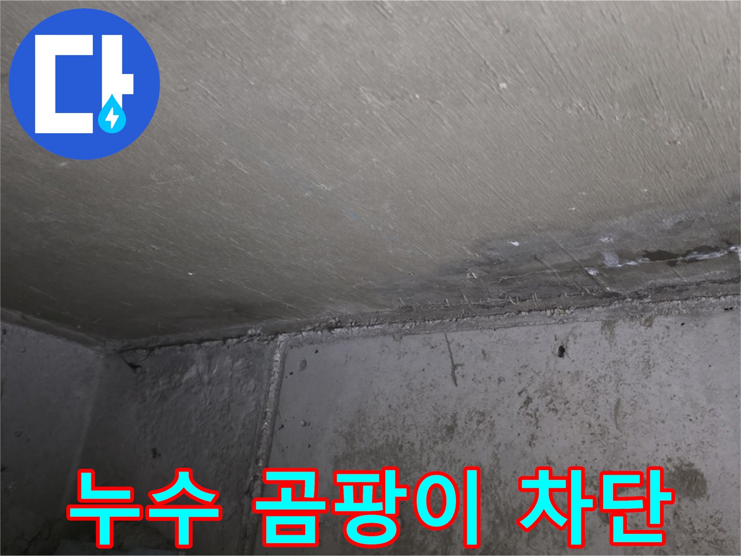 남양주 오남읍 두산아파트 벽 누수 - 곰팡이 완벽 차단