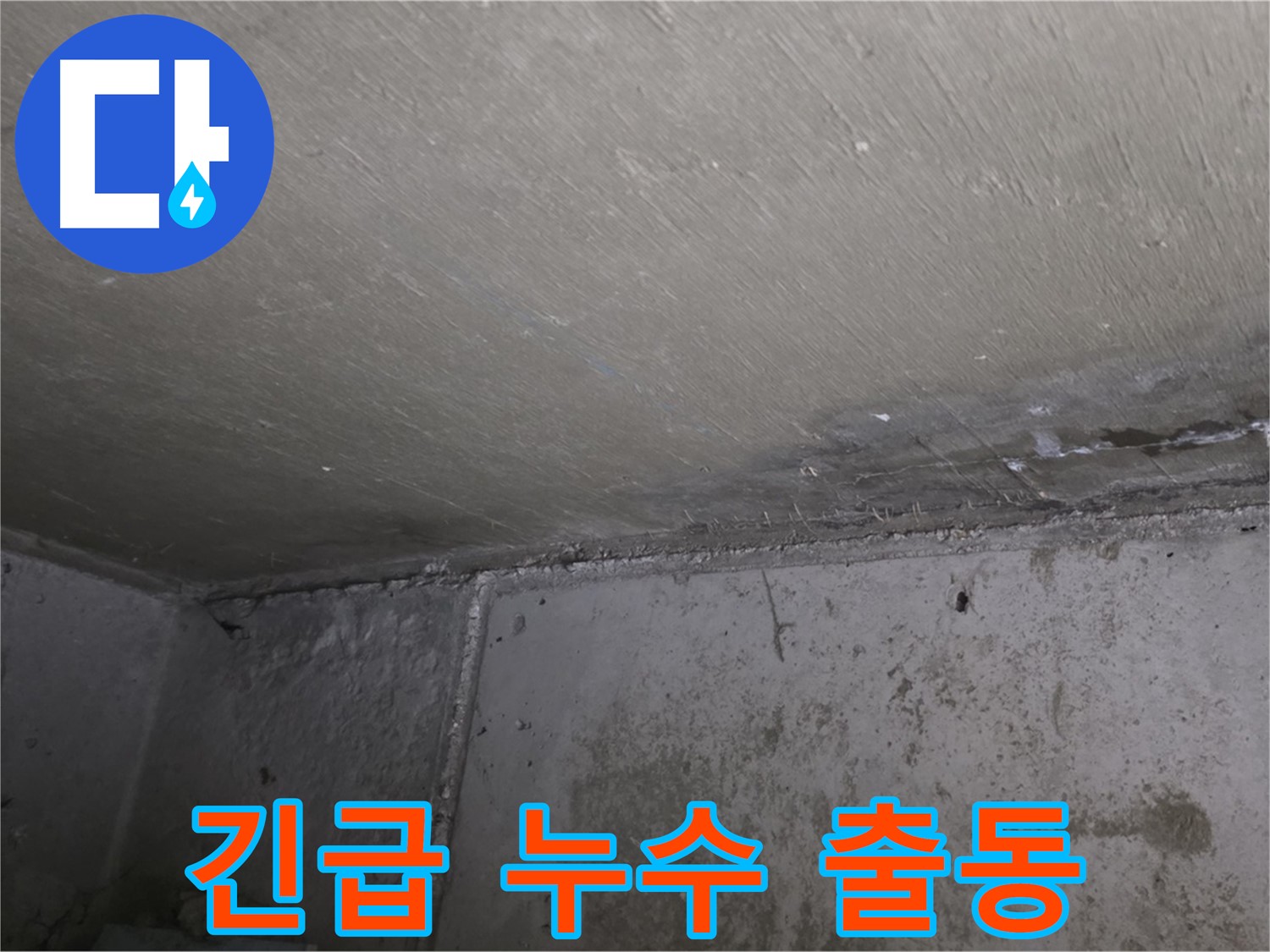 남양주 오남 누수 긴급 출동 - 천장 곰팡이 문제 해결