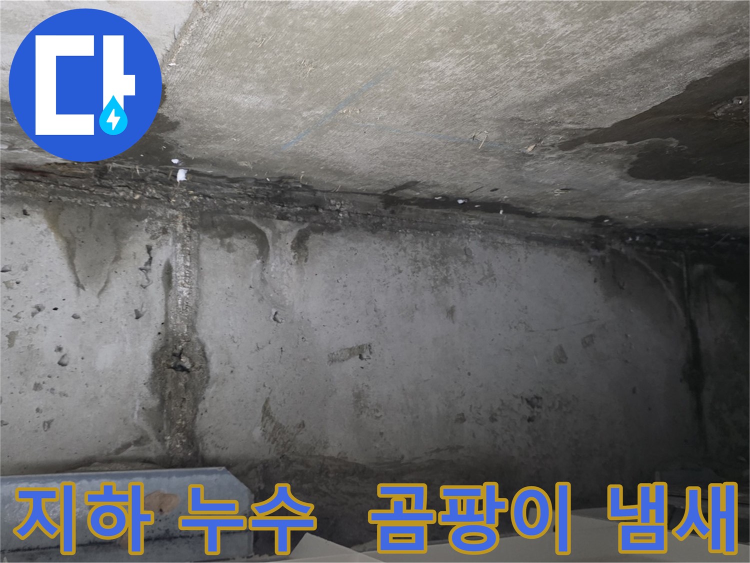 남양주 오남 두산 지하 누수 - 곰팡이 냄새