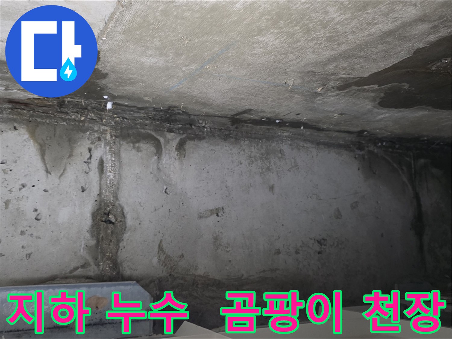 남양주 오남 두산 지하 누수 - 곰팡이 젖은 천장