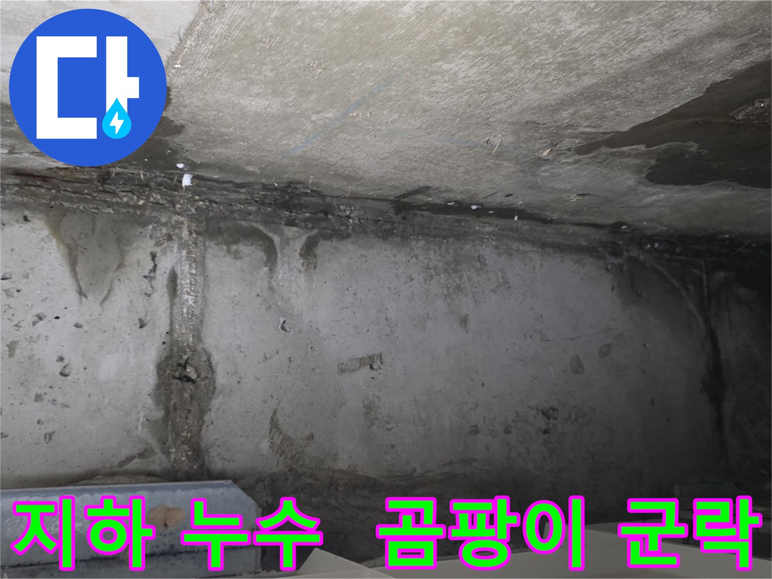 남양주 오남리 두산아파트 지하 누수 - 곰팡이 군락