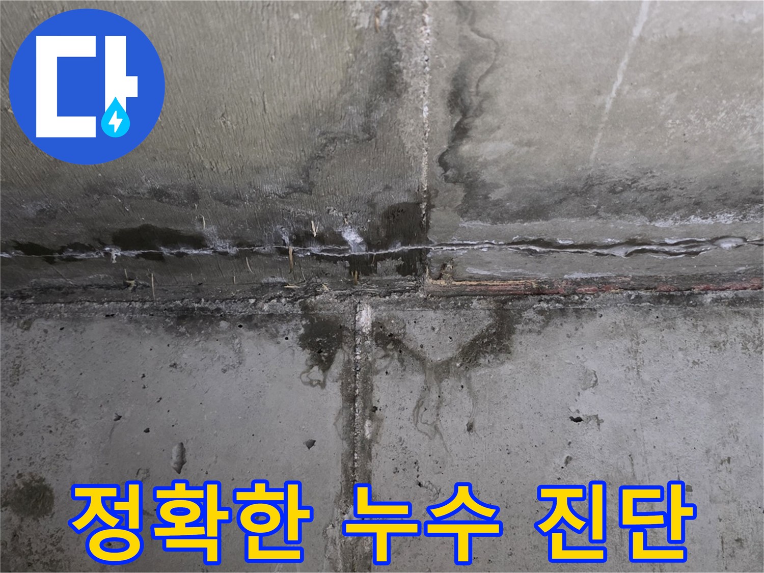 남양주 오남읍 두산아파트 누수 - 완벽한 장비로 정확하게 진단