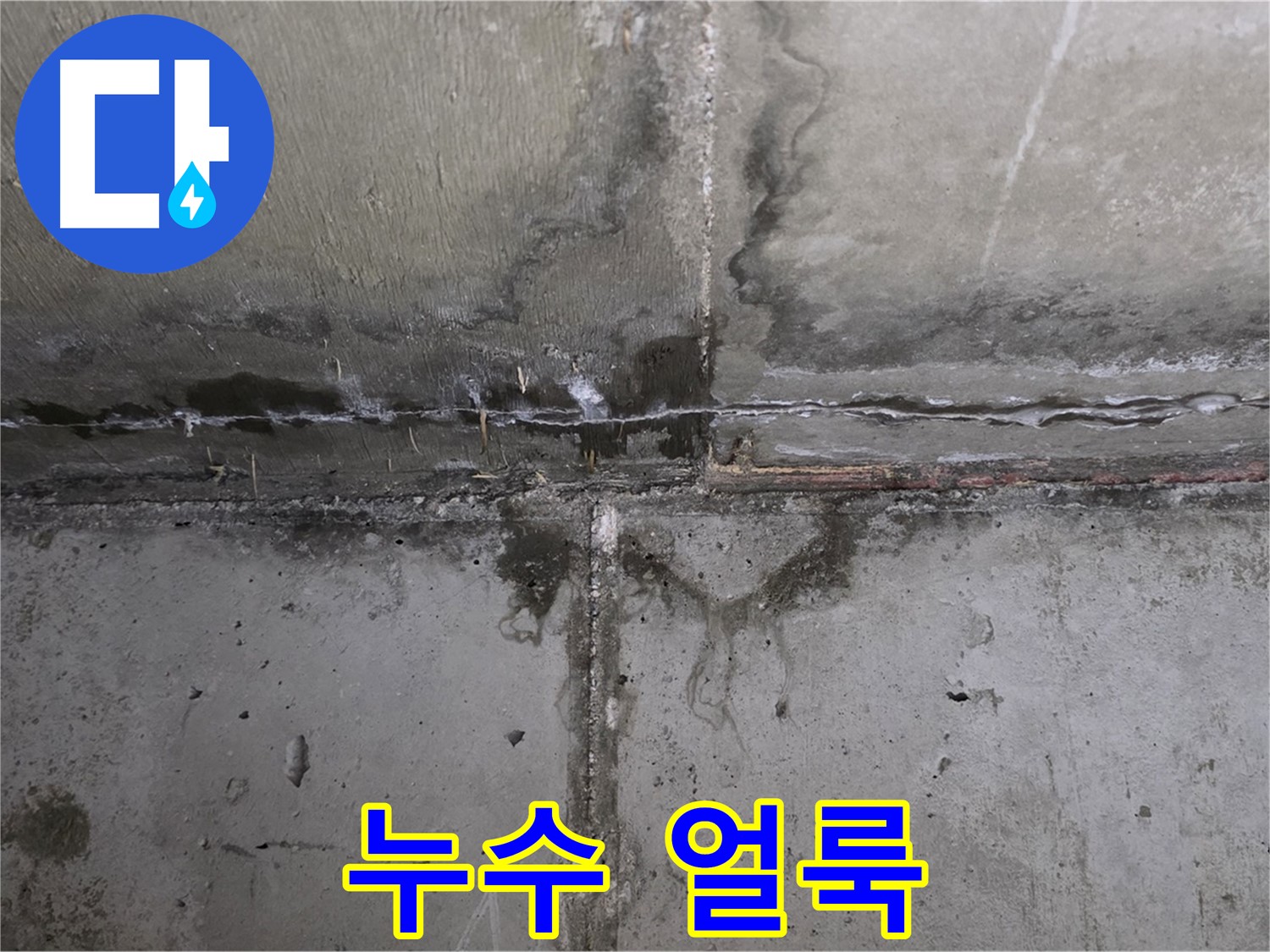 남양주 오남읍 아파트 누수 - 곰팡이 확산