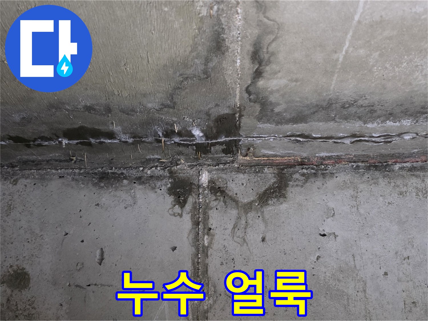 남양주 오남읍 아파트 누수 - 심각하게 퍼진 곰팡이 확인