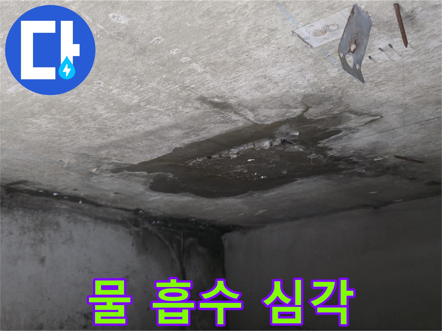 심각한 콘크리트 물 흡수 - 남양주 오남 누수