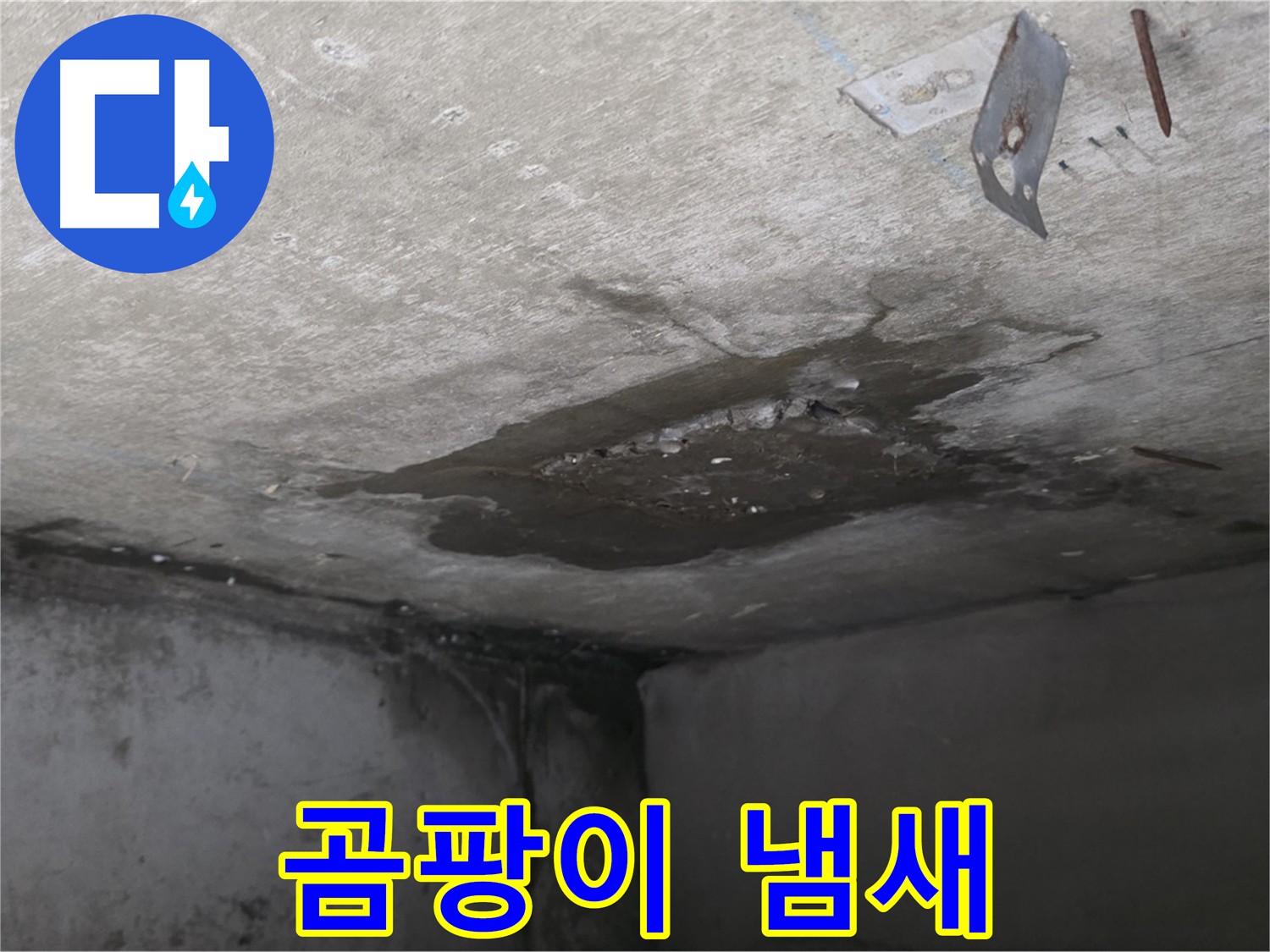 아래층 화장실의 심한 곰팡이 냄새 - 남양주 오남 아파트 누수 문제