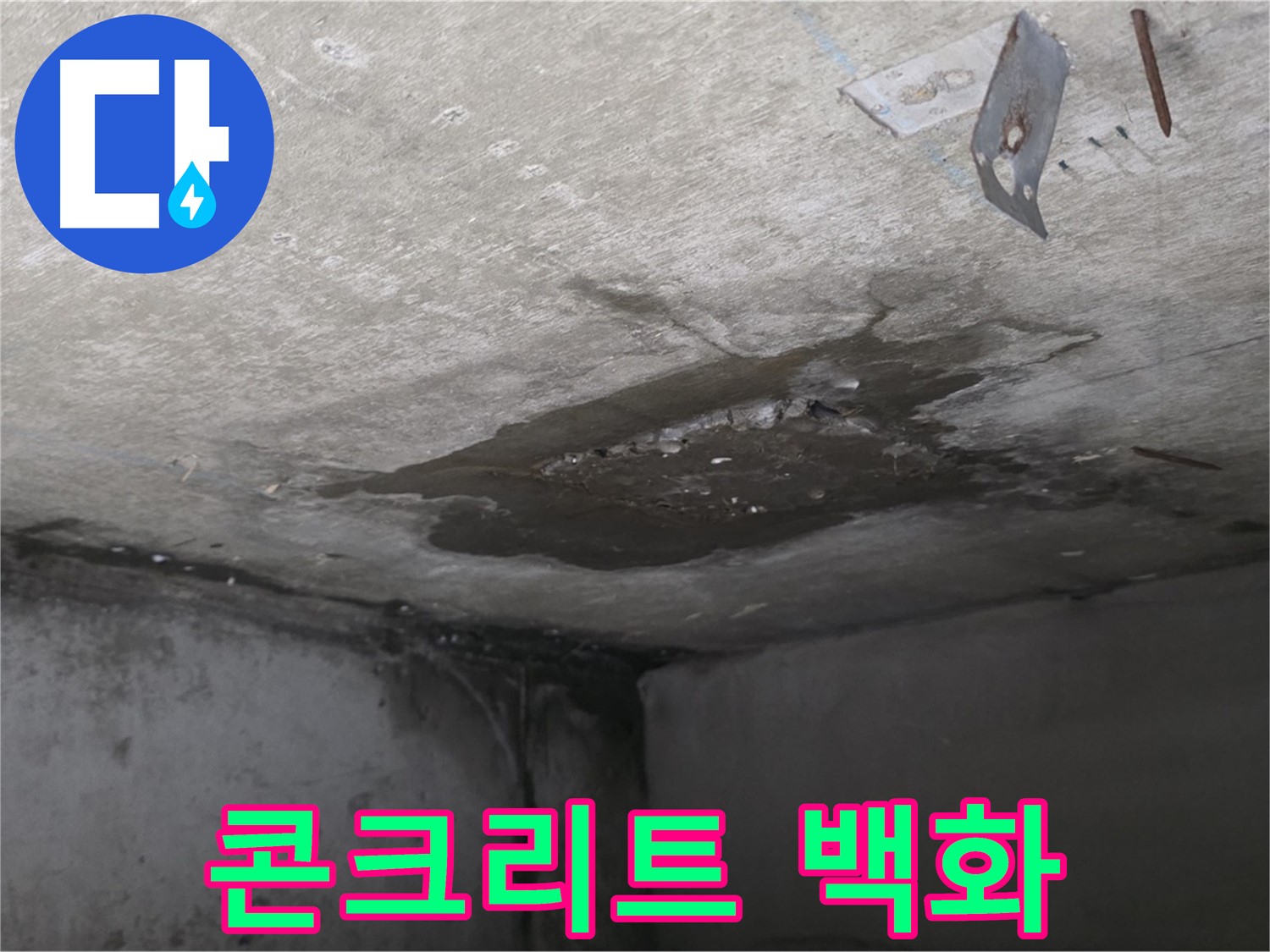 콘크리트 백화 현상 - 남양주 오남 아파트 누수