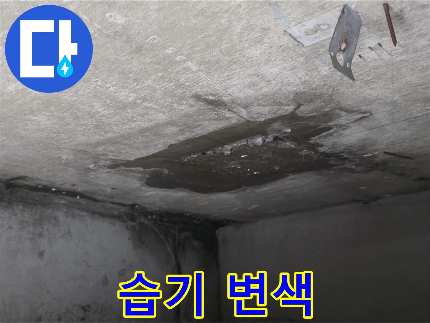 콘크리트 표면 습기로 인한 변색 - 남양주 오남 누수