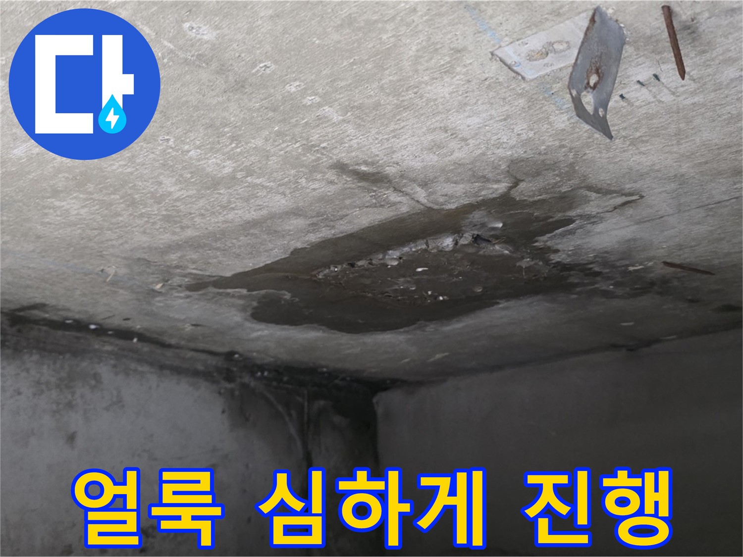 콘크리트 표면 얼룩 심하게 진행 - 남양주 오남 누수