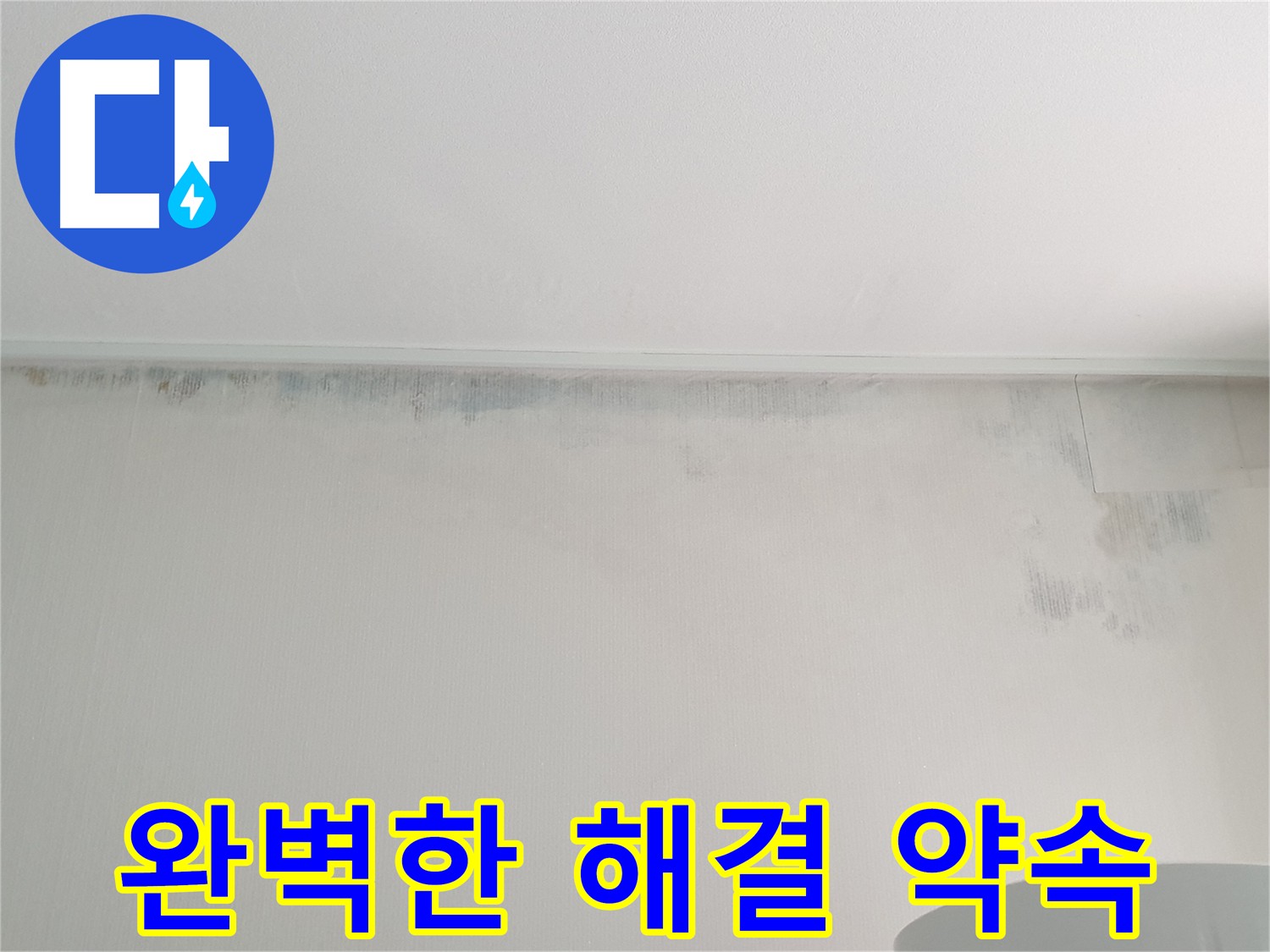 중계동 아파트 벽 곰팡이 - 완벽한 해결 약속
