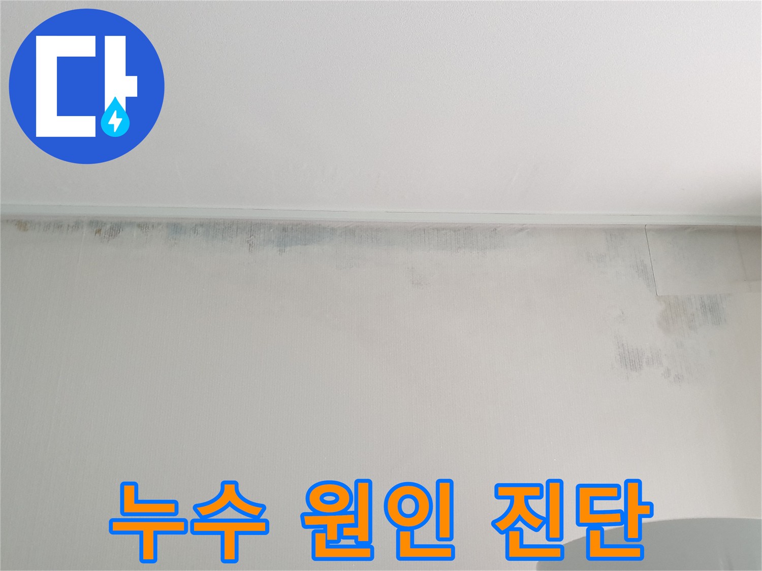 중계동 아파트 벽 곰팡이 - 누수 원인 꼼꼼 진단