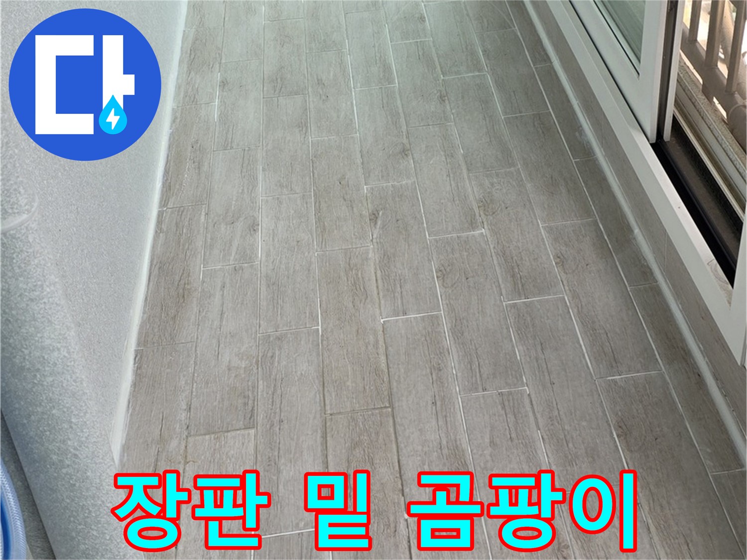 노원구 중계동 청구3차 아파트 장판 밑 곰팡이 - 누수 의심