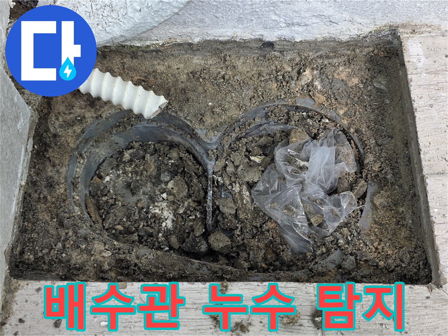 노원구 중계동 청구3차 아파트에서 배수관 누수 탐지 작업을 하고 있습니다 - 정확한 탐지로 누수 문제 해결!