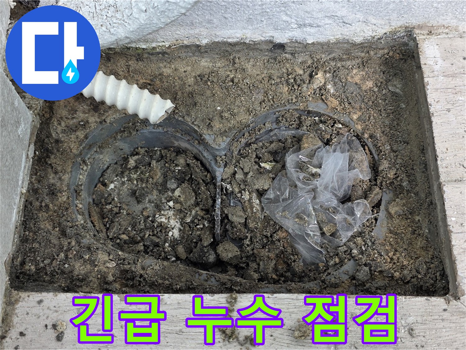 노원구 중계동 청구3차 아파트에서 우수관 주변 누수 긴급 점검을 진행하고 있습니다 - 신속한 점검으로 피해 최소화!