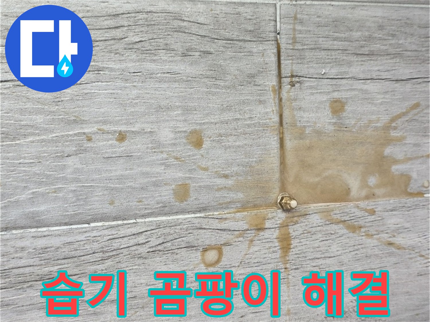 마루 아래 습기 - 인젝션 방수로 곰팡이 걱정 없이 쾌적하게