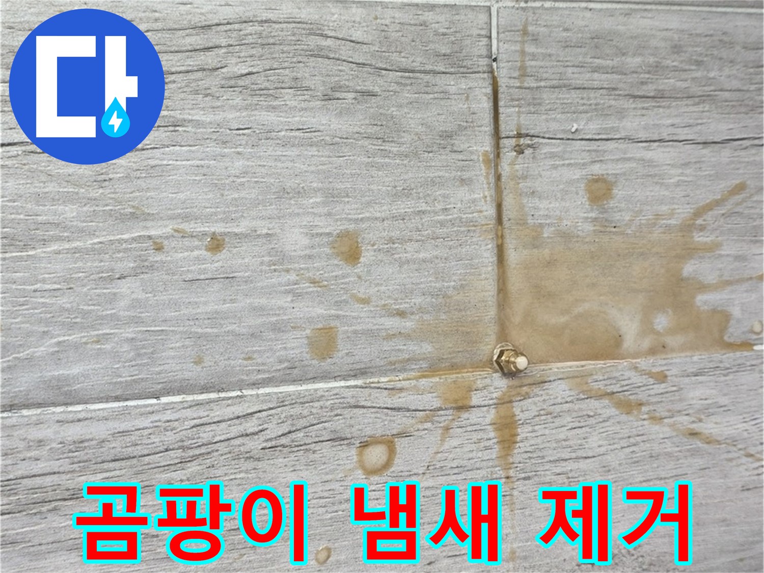 마루 틈새 곰팡이 냄새 - 친환경 인젝션 방수로 싹 잡아 누수 해결