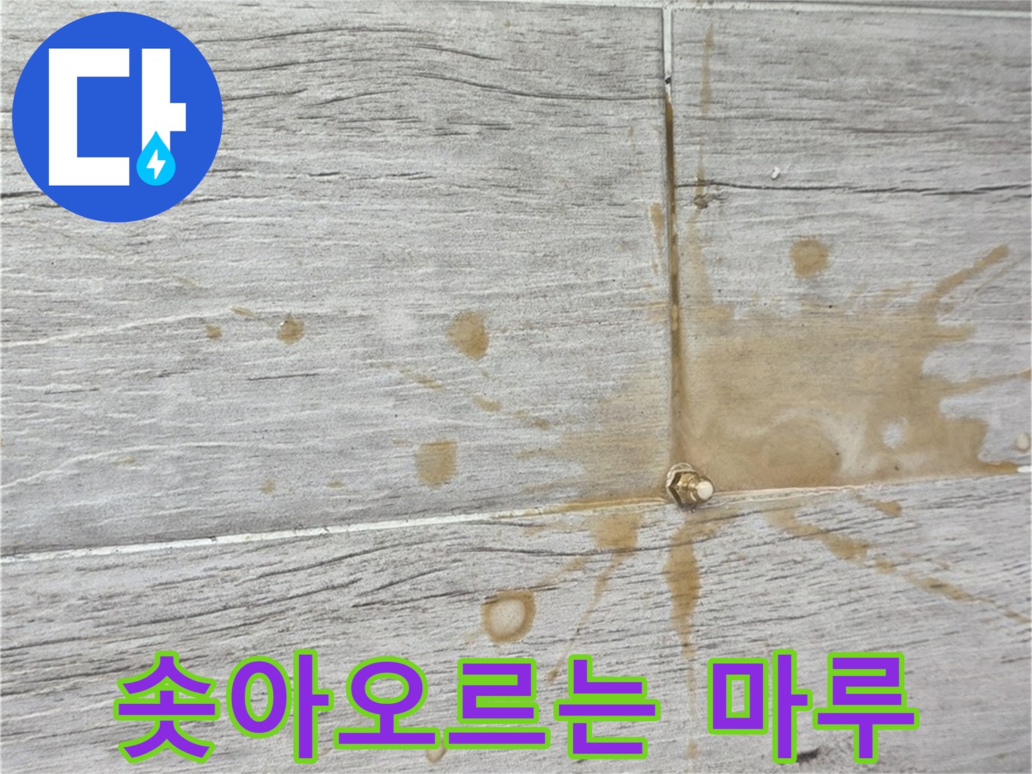 마루가 솟아오른 모습 - 인젝션 방수 시공으로 해결