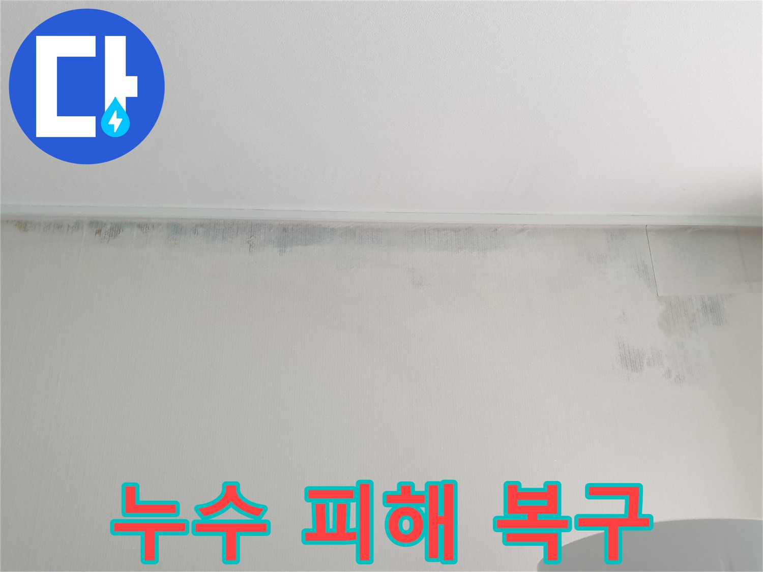 중계동 청구3차 아파트 벽지 곰팡이 - 누수 피해 현장