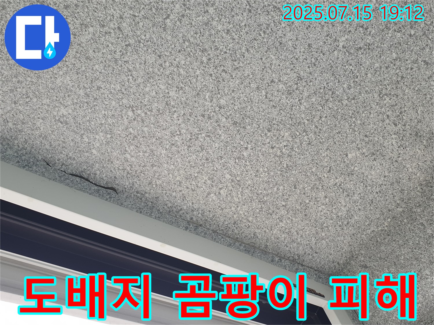 중계3동 청구3차 아파트 도배지 곰팡이 - 누수 2차 피해 심각 - 건강 위협