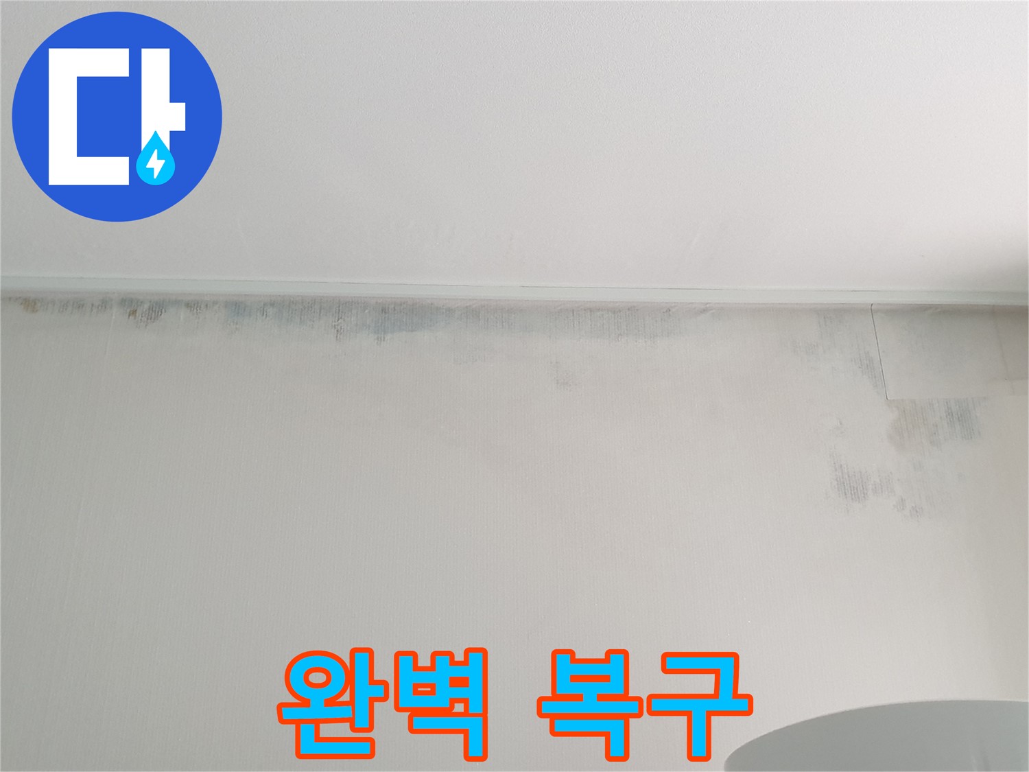 중계4동 아파트 벽 곰팡이 사진 - 완벽 복구