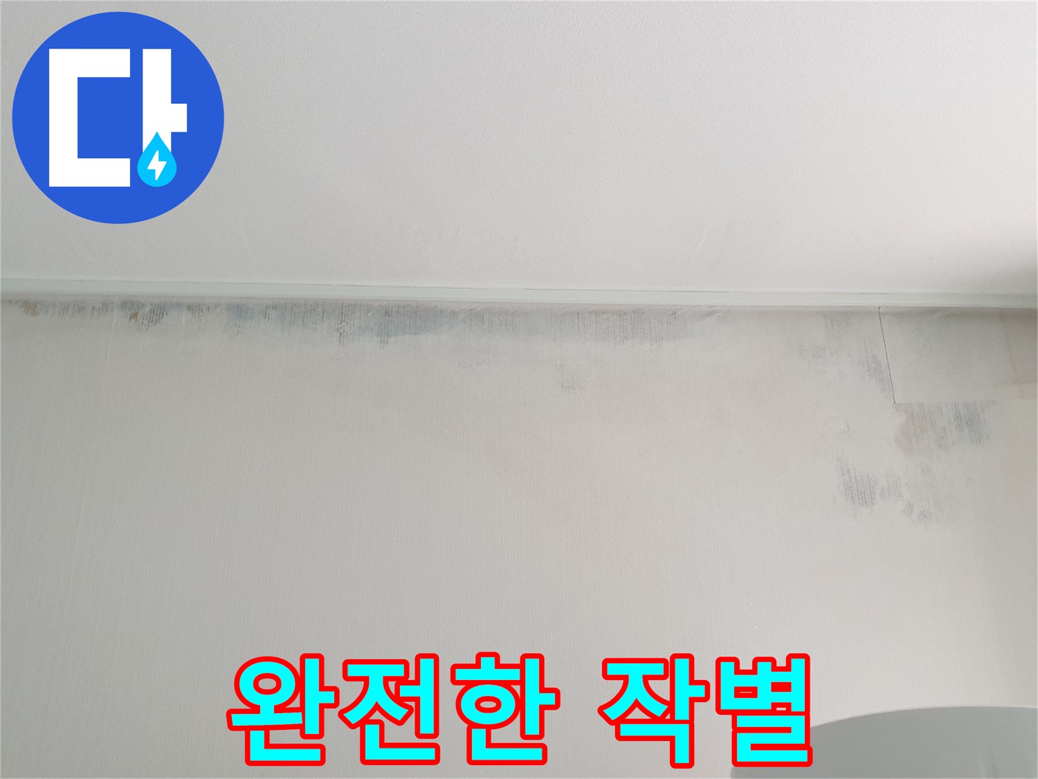 중계동 아파트 곰팡이 - 완전한 작별