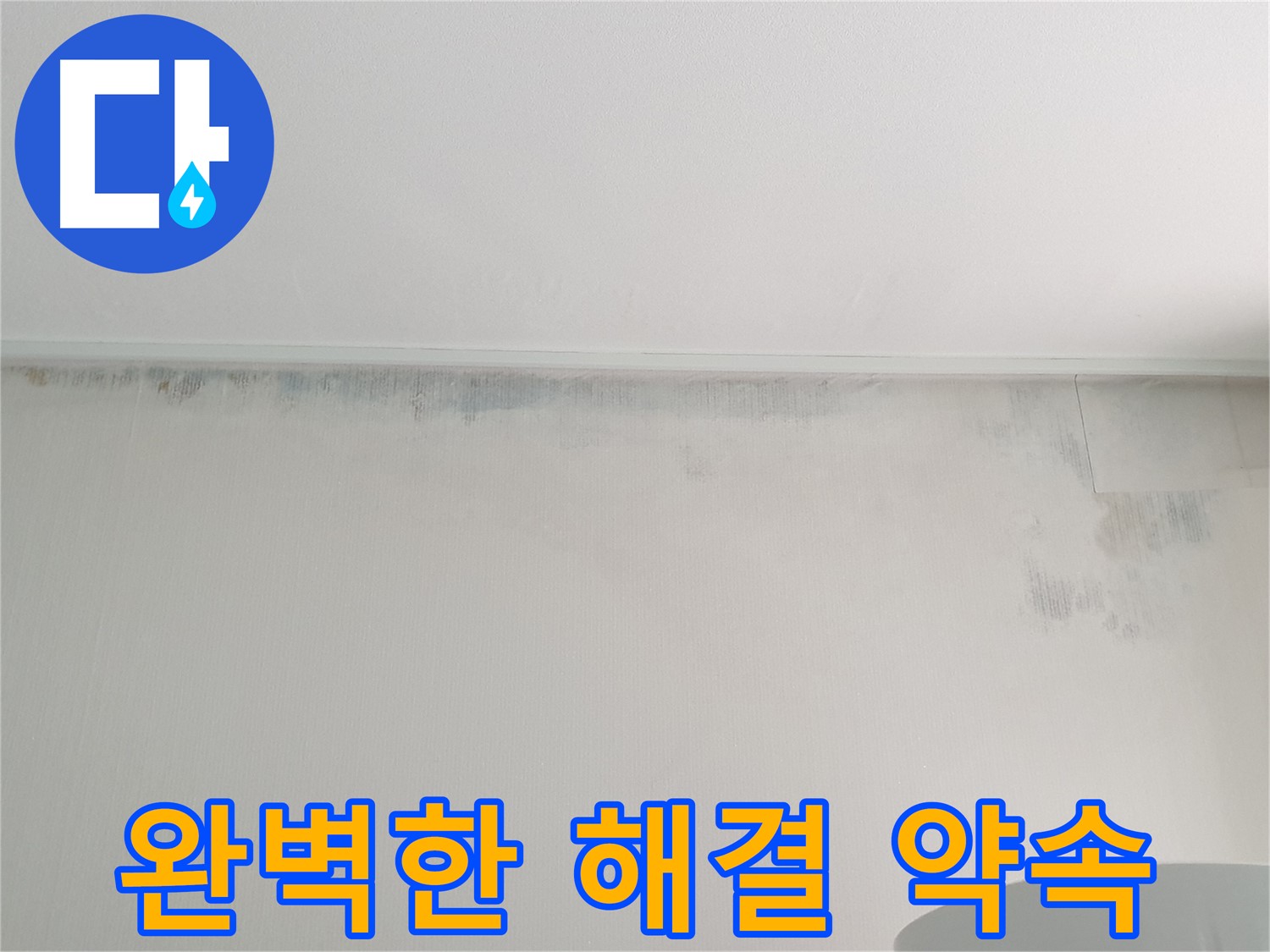 중계동 아파트 벽 곰팡이 - 완벽한 해결 약속