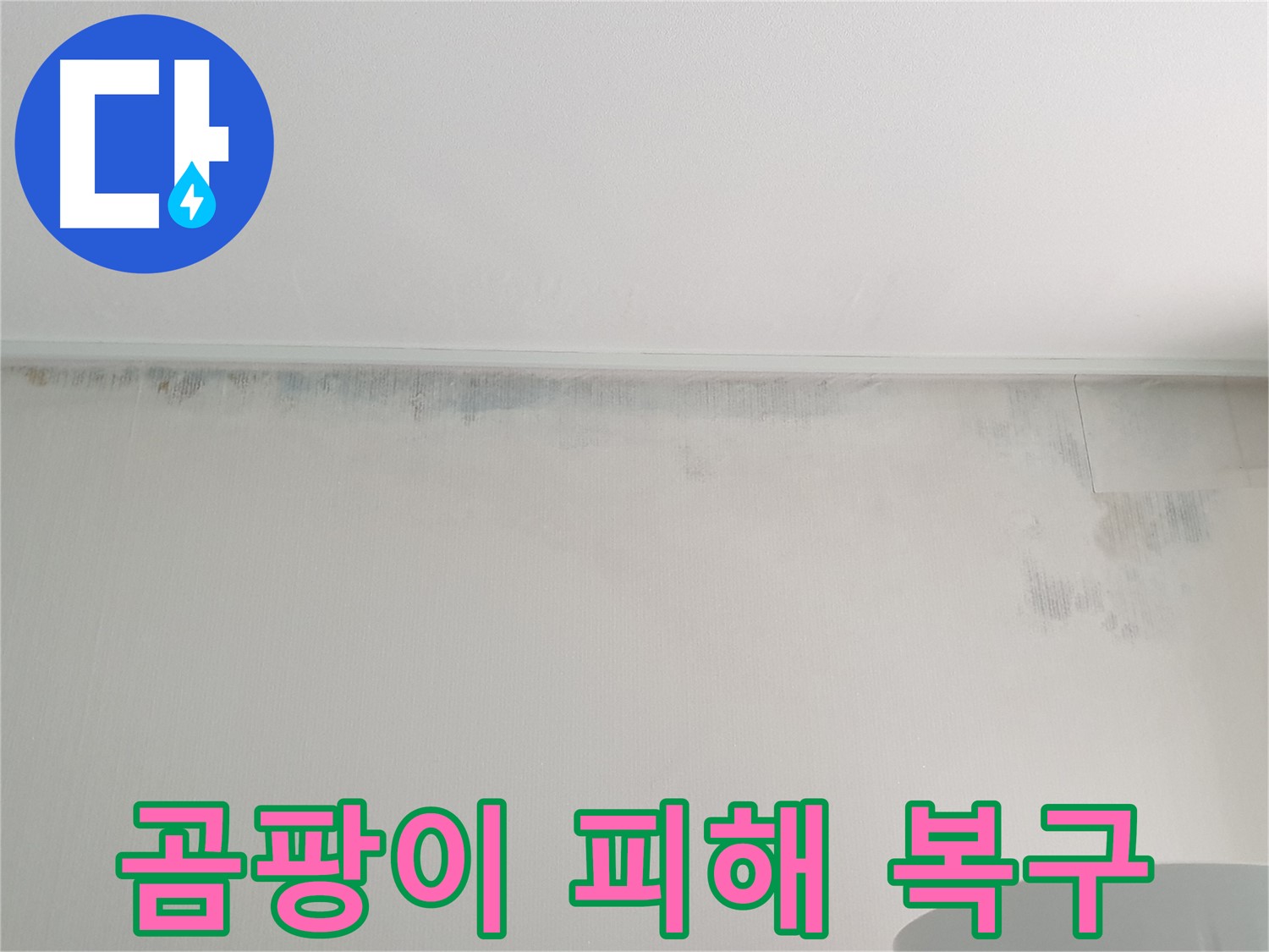 중계동 아파트 벽 누수 - 곰팡이 피해 복구 전문