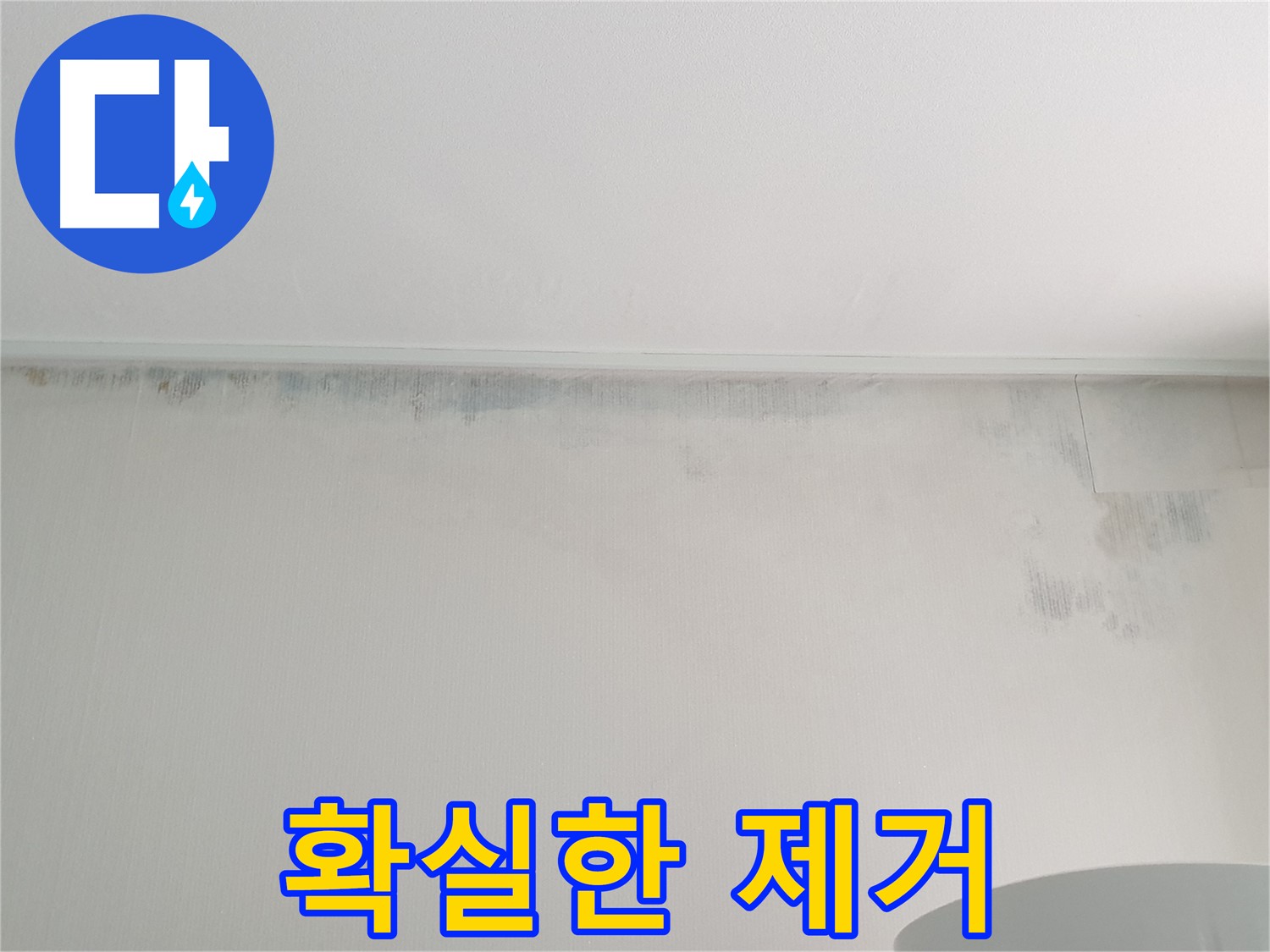 중계동 아파트 천장 곰팡이 - 확실한 제거와 재발 방지 약속