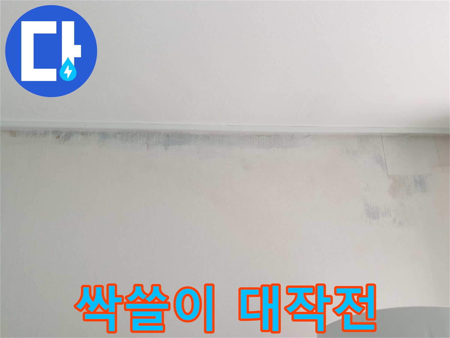 중계동 청구3차 곰팡이 - 곰팡이 싹쓸이 대작전