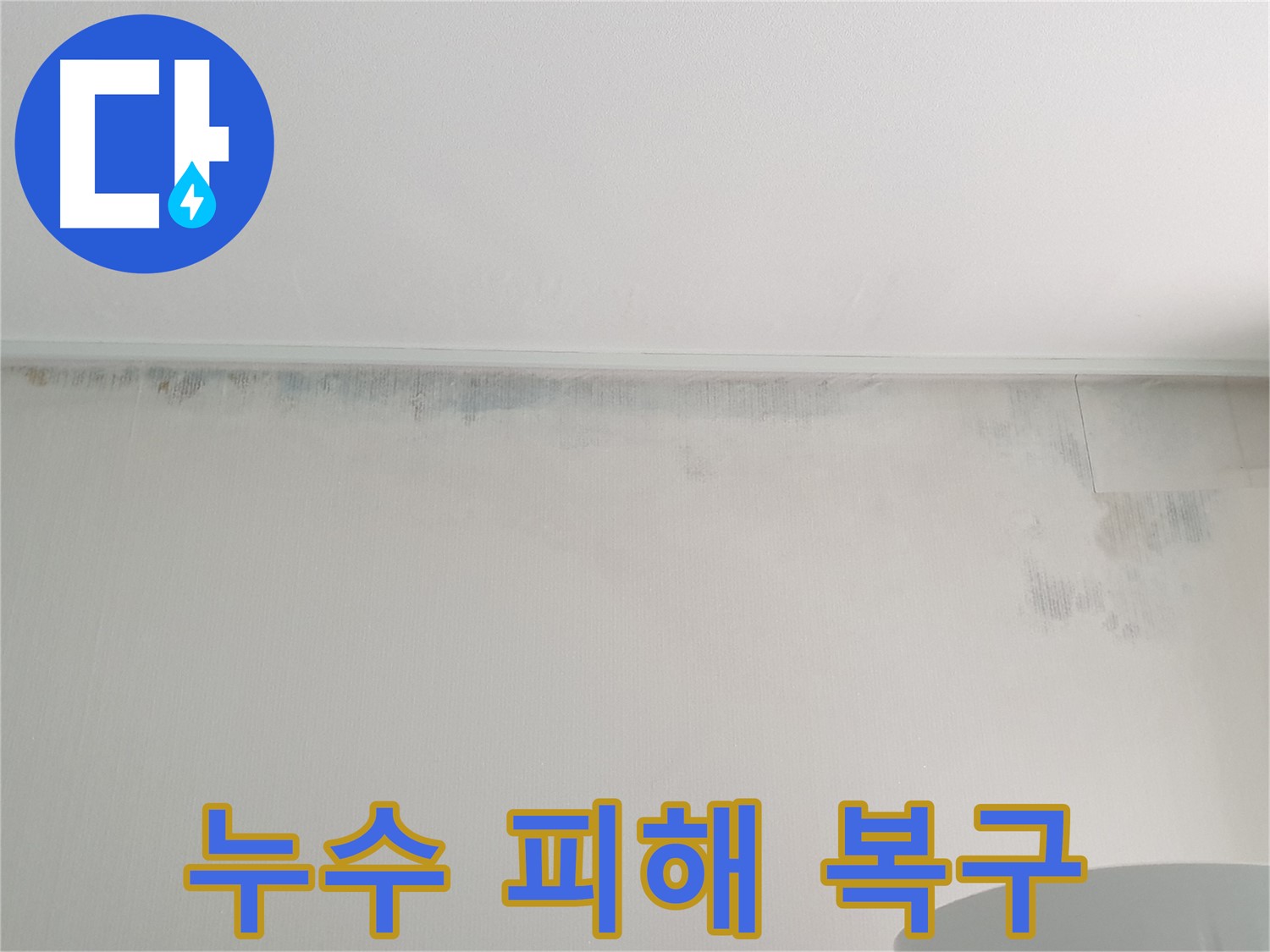 중계동 청구3차 아파트 벽지 곰팡이 - 누수 피해 현장