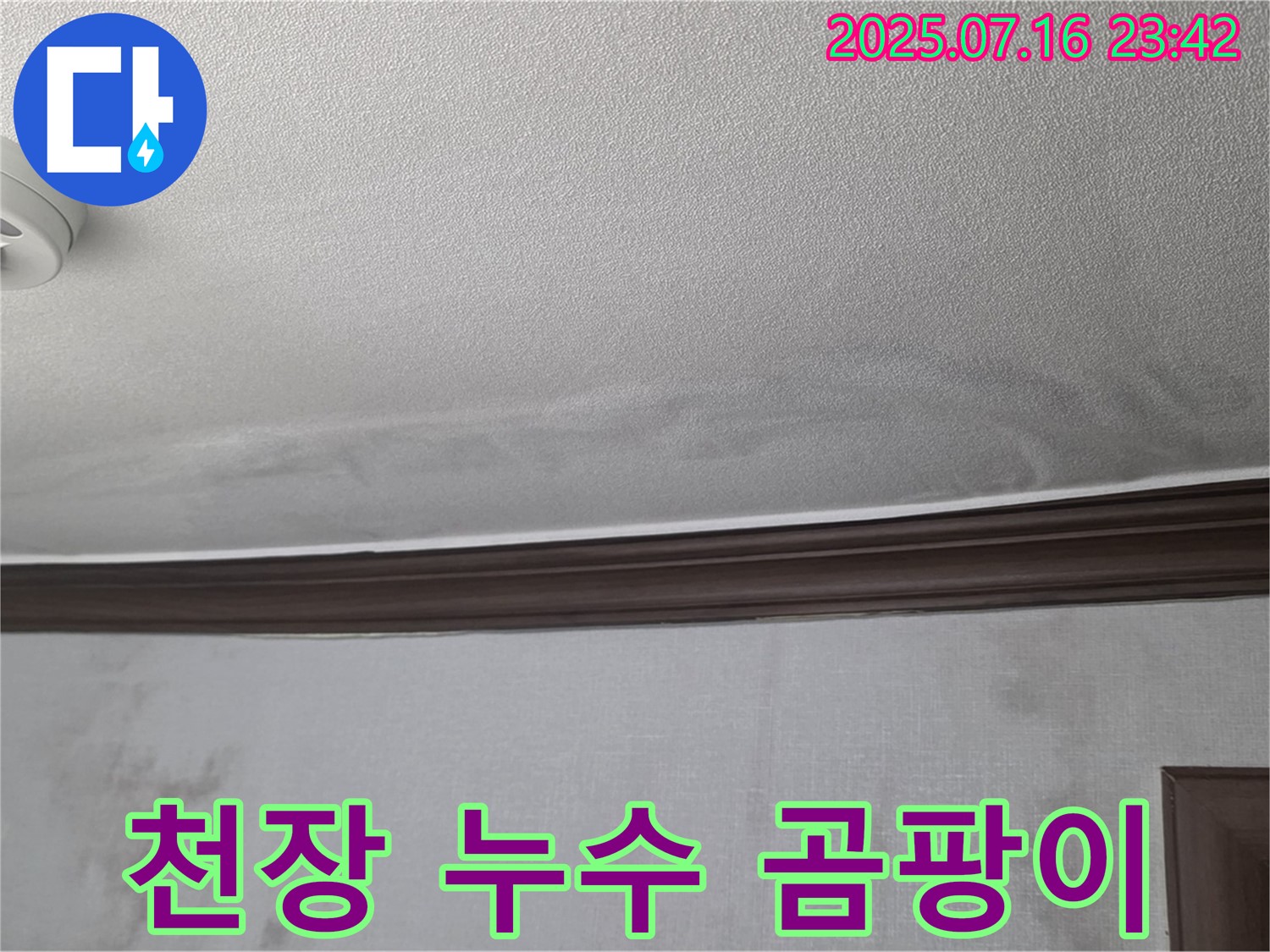 미아동 빌라 누수 현장 - 천장 누수 흔적과 곰팡이 포자가 발견된 모습입니다.