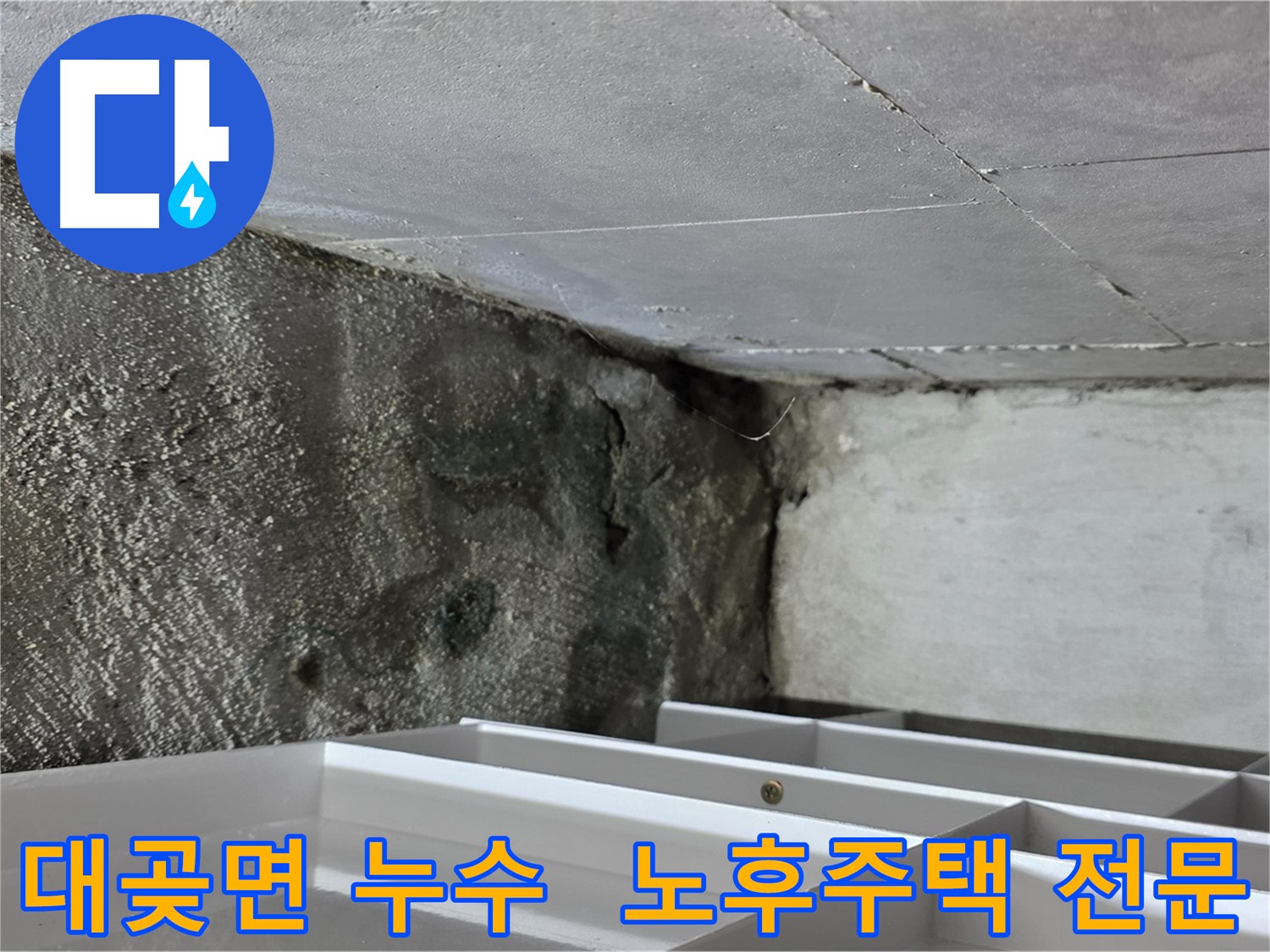 대곶면 누수 해결 - 오래된 주택 누수 문제 전문 해결