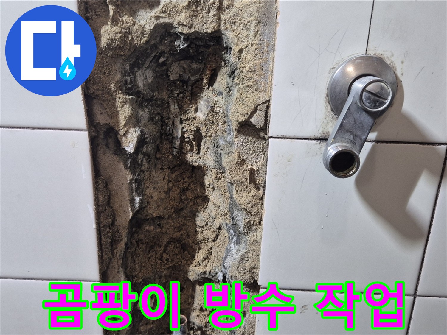샤워기 벽 속 누수 - 곰팡이 제거 및 방수 작업