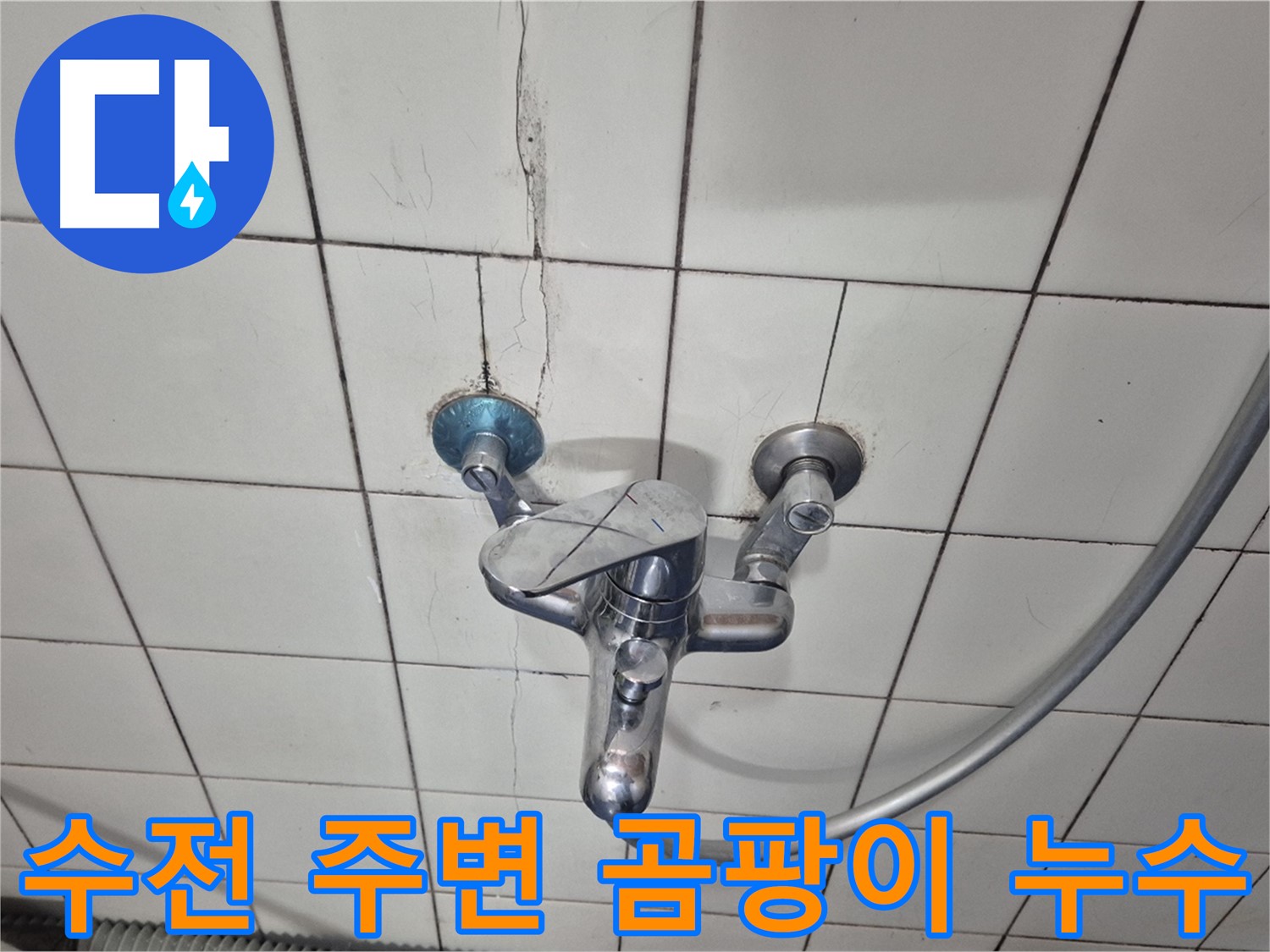 샤워기 수전 주변 곰팡이 발생 - 습기로 인한 곰팡이 및 누수 의심
