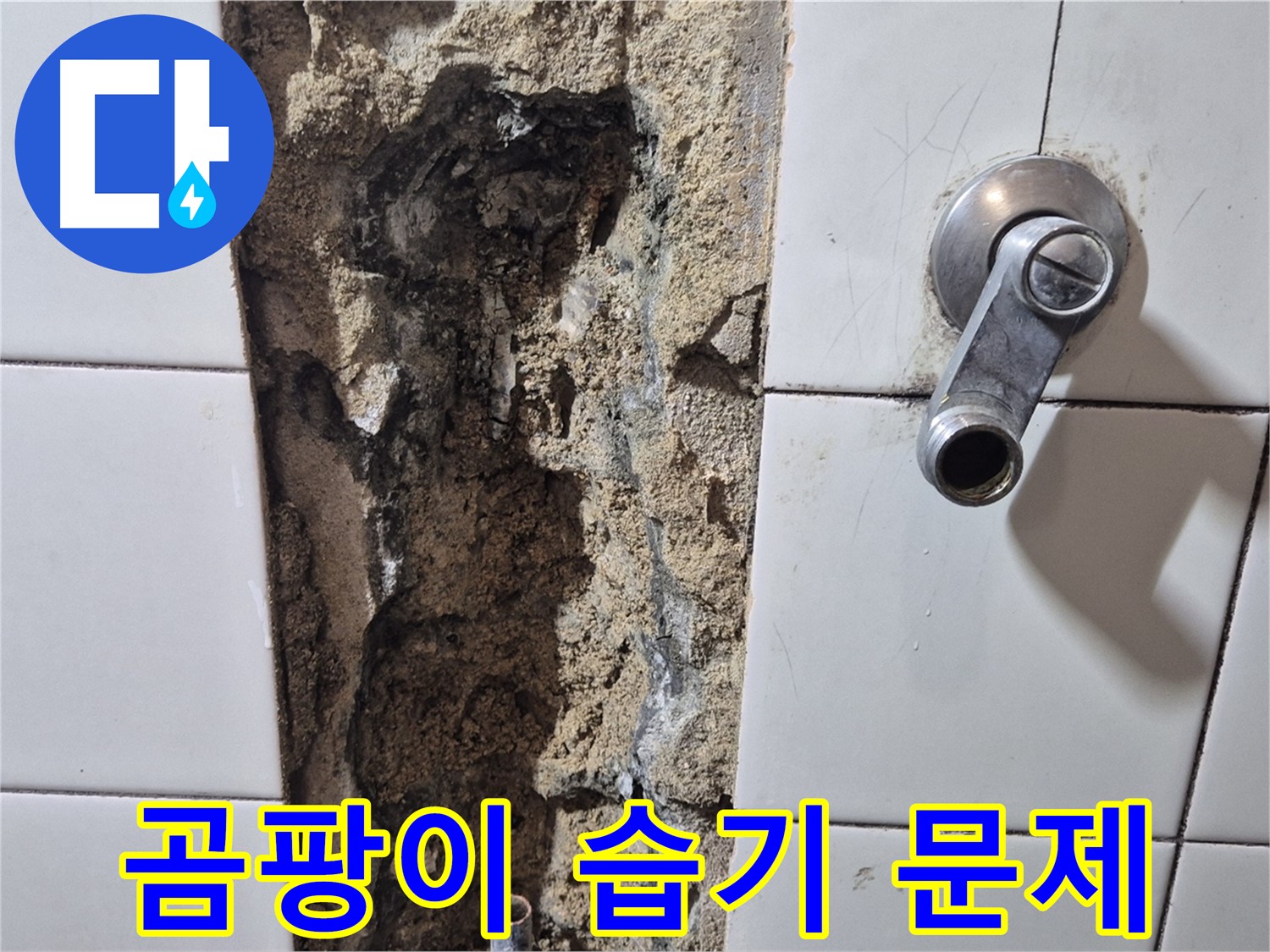 샤워기 수전 주변 곰팡이 - 습기 문제 심각