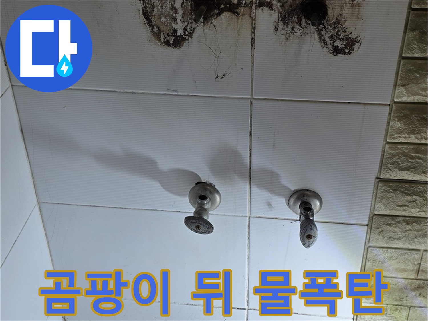 상계동 빌라 곰팡이 뒤 숨은 물폭탄 - 누수탐지 전문가가 긴급 방문하여 해결합니다.