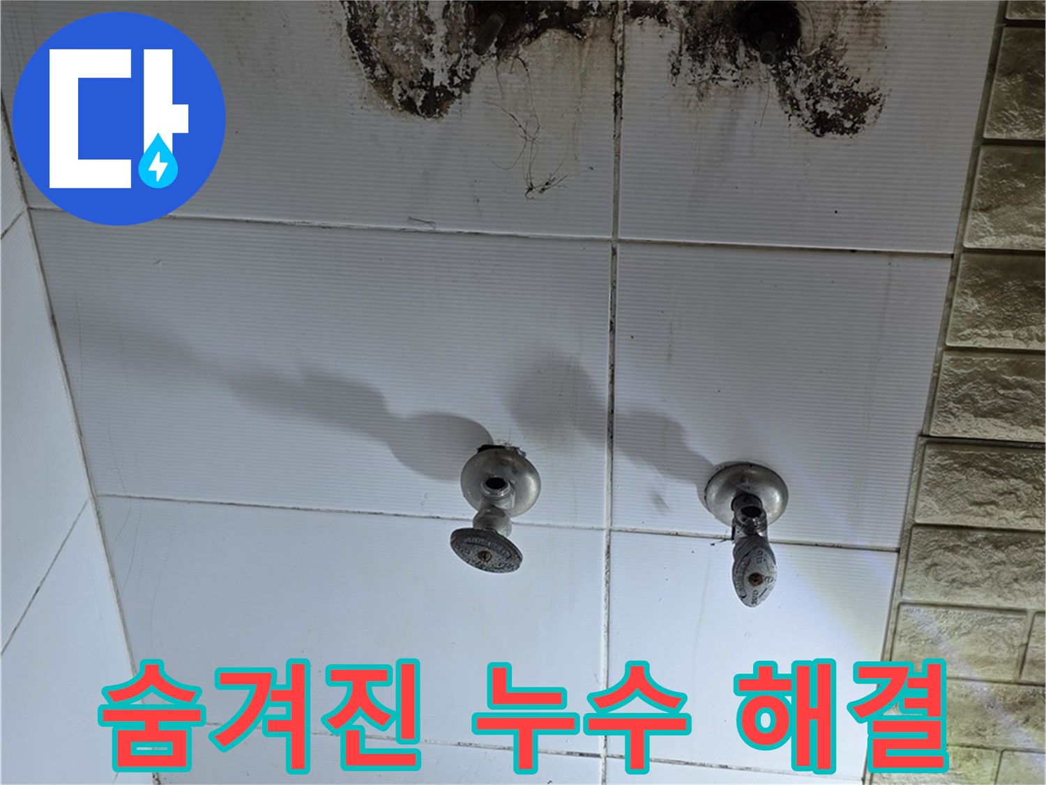 상계동 빌라 곰팡이 핀 욕실 - 숨겨진 누수를 찾아 완벽하게 해결하는 전문 업체를 소개합니다.