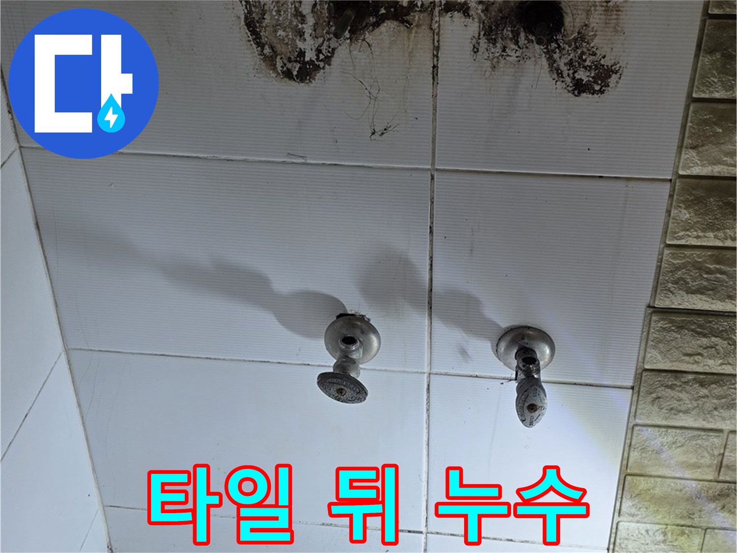 상계동 욕실 타일 뒤 누수 - 누수탐지 전문 업체에서 확실하게 해결해 드립니다.
