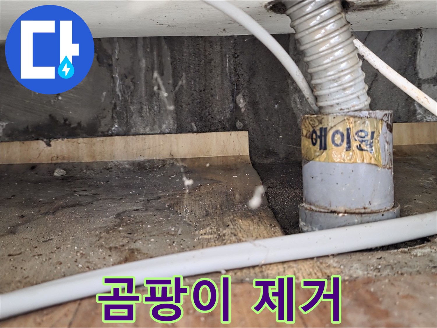 남양주 진건읍 사릉리 누수 공사 후 곰팡이 제거 작업 - 꼼꼼한 시공으로 재발을 방지하는 누수탐지 전문 업체입니다.