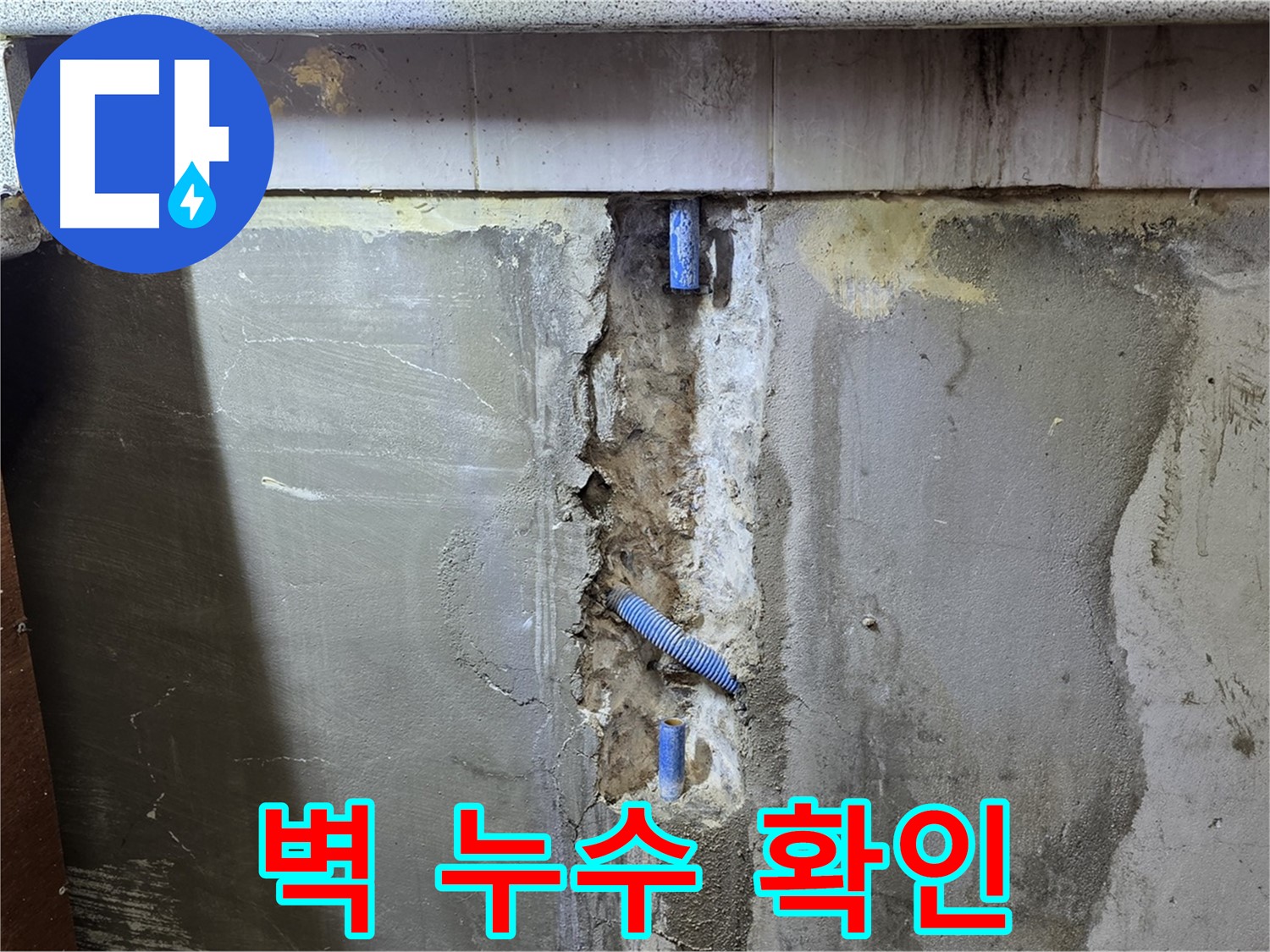 벽 누수 확인 - 전문 장비로 정확하게 누수 지점 탐지