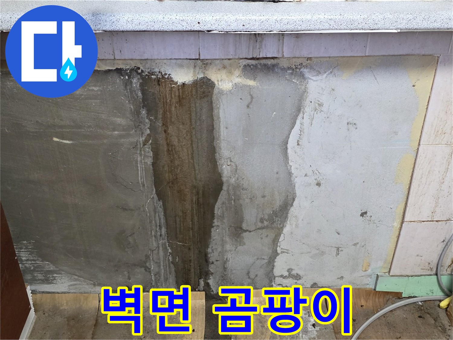벽면 곰팡이 - 누수로 인해 벽면에 곰팡이가 발생한 모습입니다.