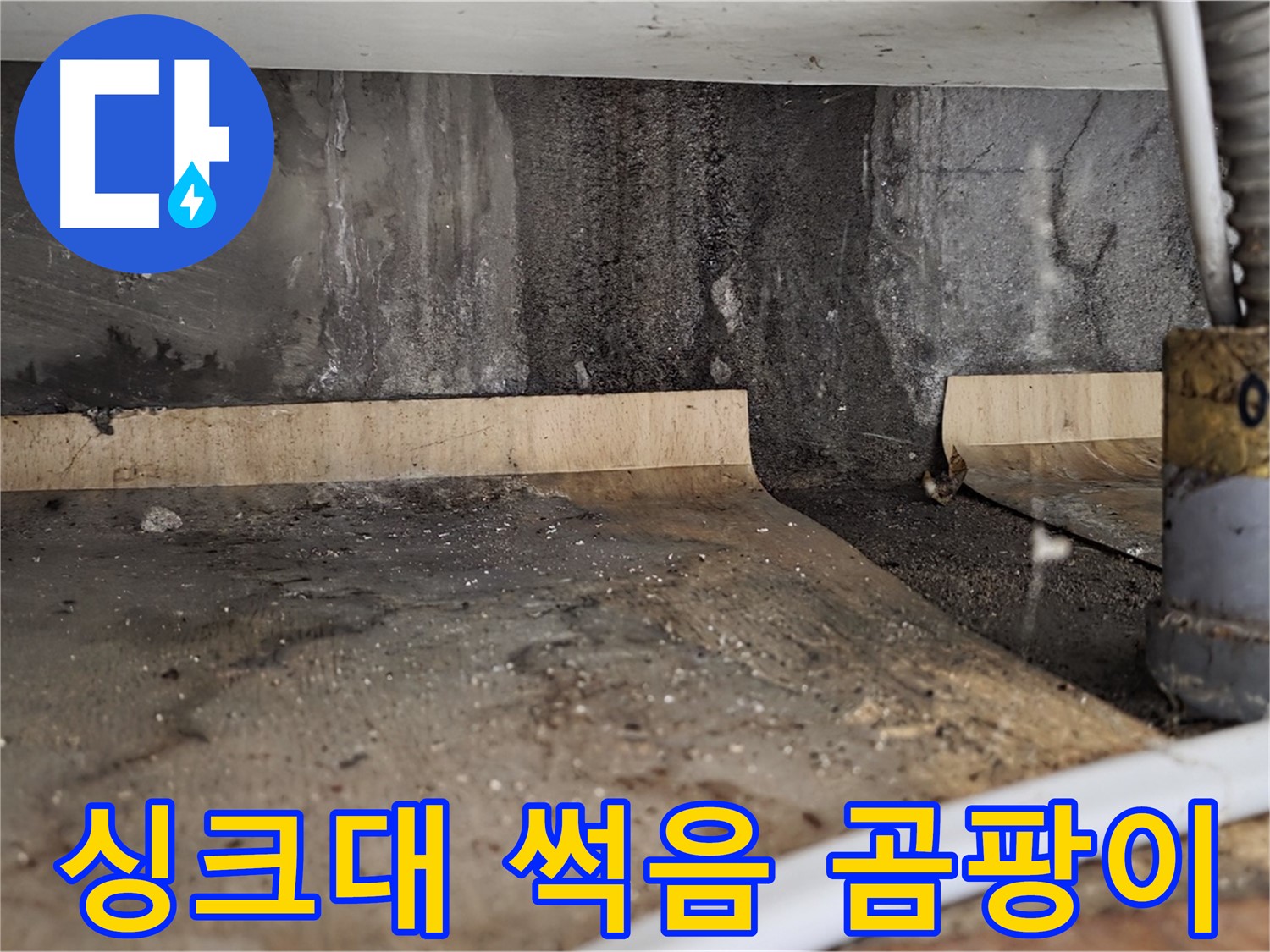 싱크대 누수 - 썩은 물 곰팡이