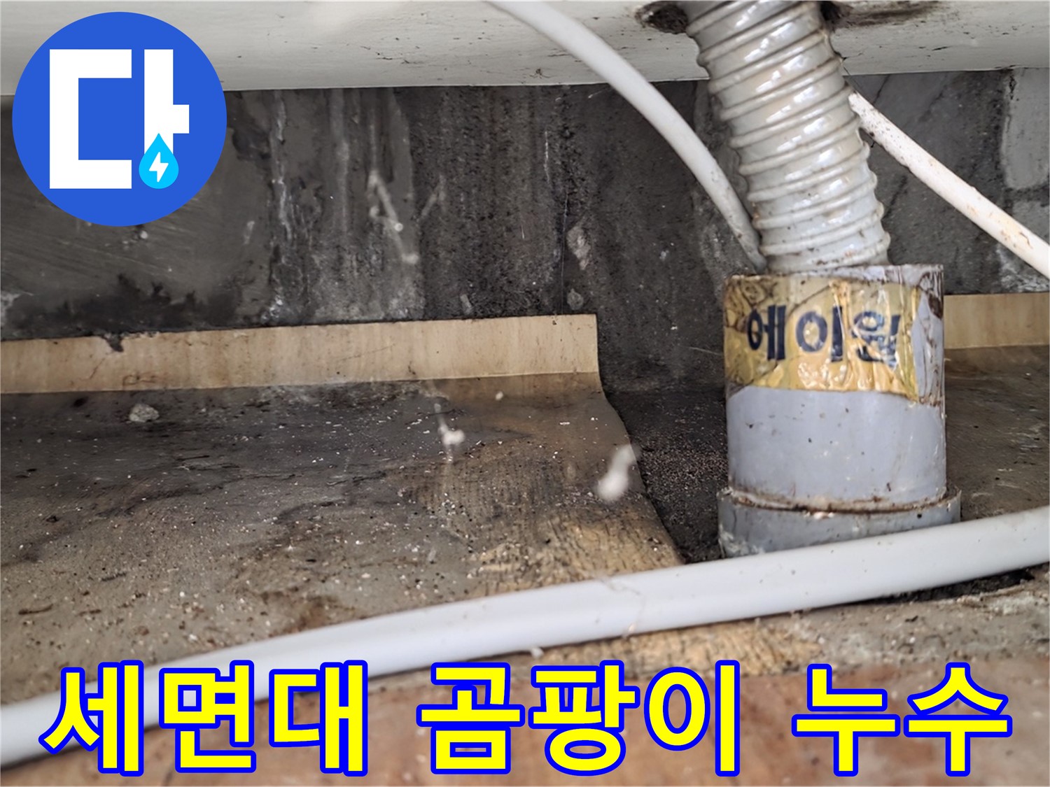 진건읍 사릉리 세면대 밑 곰팡이 - 누수가 원인이었습니다!