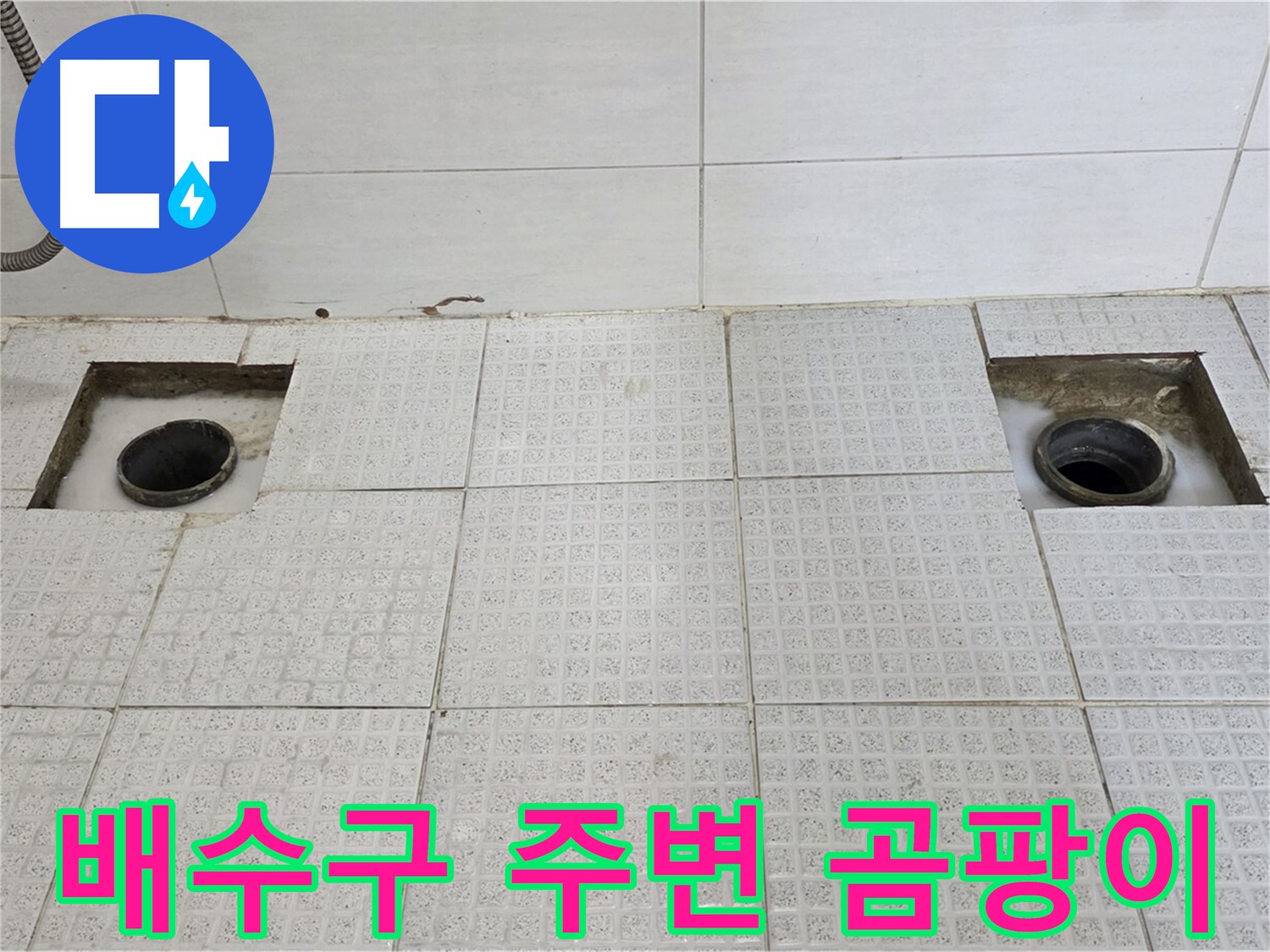 과천 e편한세상 욕실 - 배수구 주변 곰팡이 발견 - 누수가 꽤 오래된 것 같습니다.