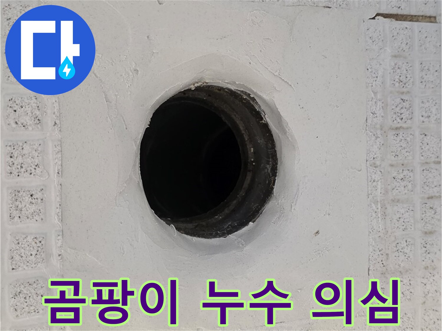 과천 문원동 욕실 곰팡이 - 배수구 주변 곰팡이 발생, 누수 의심 및 점검