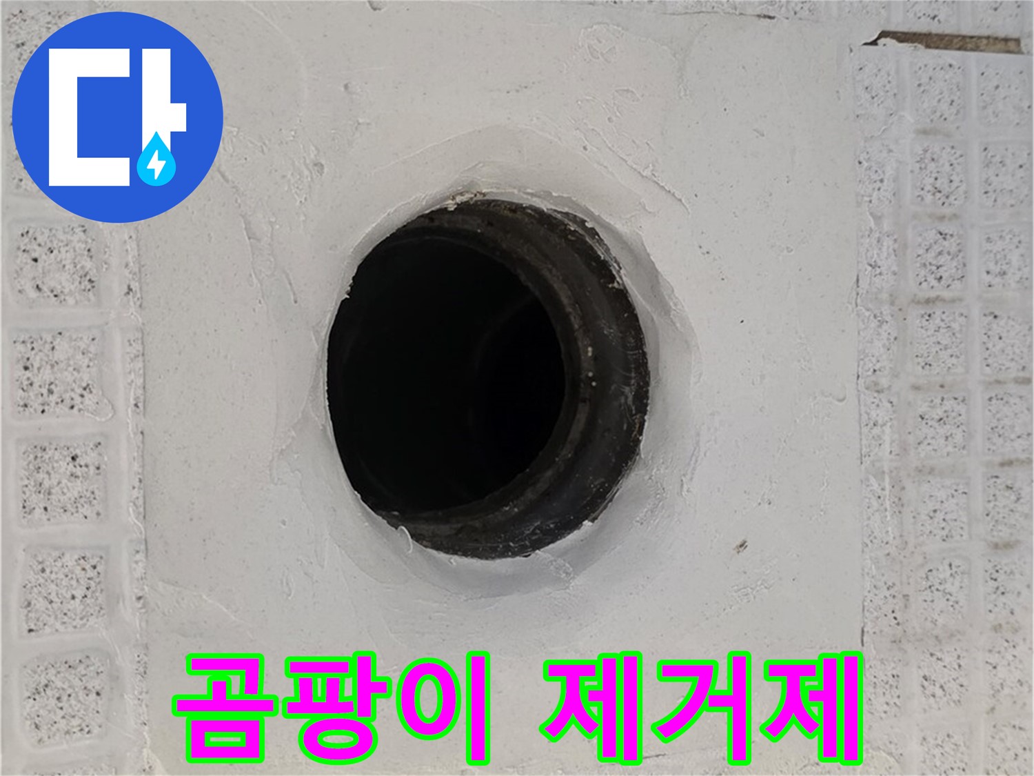 과천 문원동 욕실 누수 - 배수구 주변 곰팡이 제거제 사용, 누수 해결 여부 점검