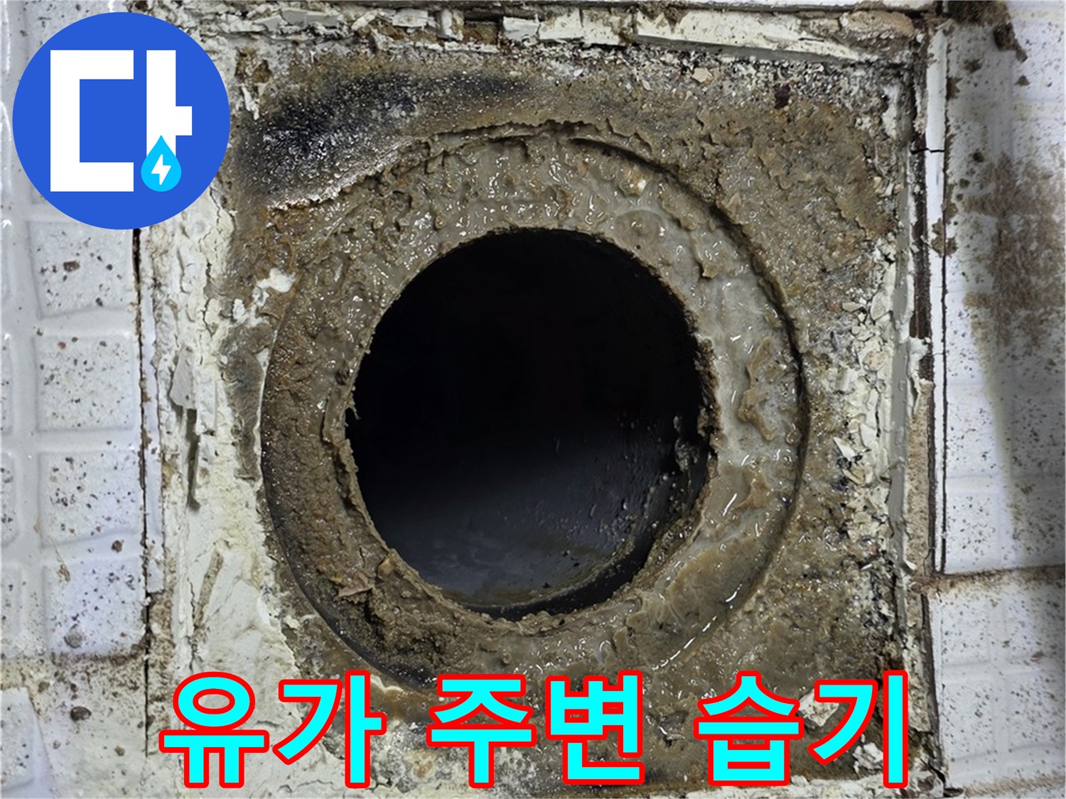 과천시 문원동 - 욕실 유가 주변 습기, 지속적인 누수 의심으로 점검 필수