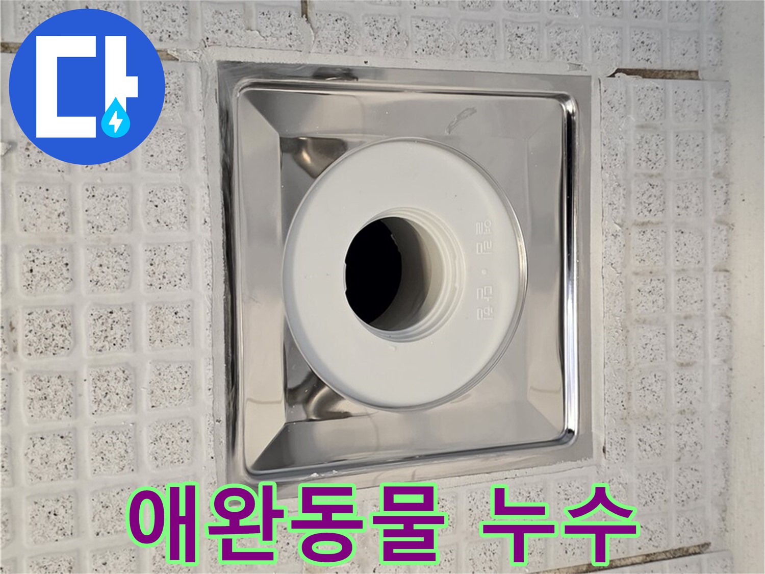 문원동 욕실 - 애완동물로 인한 배수구 누수 가능성 점검
