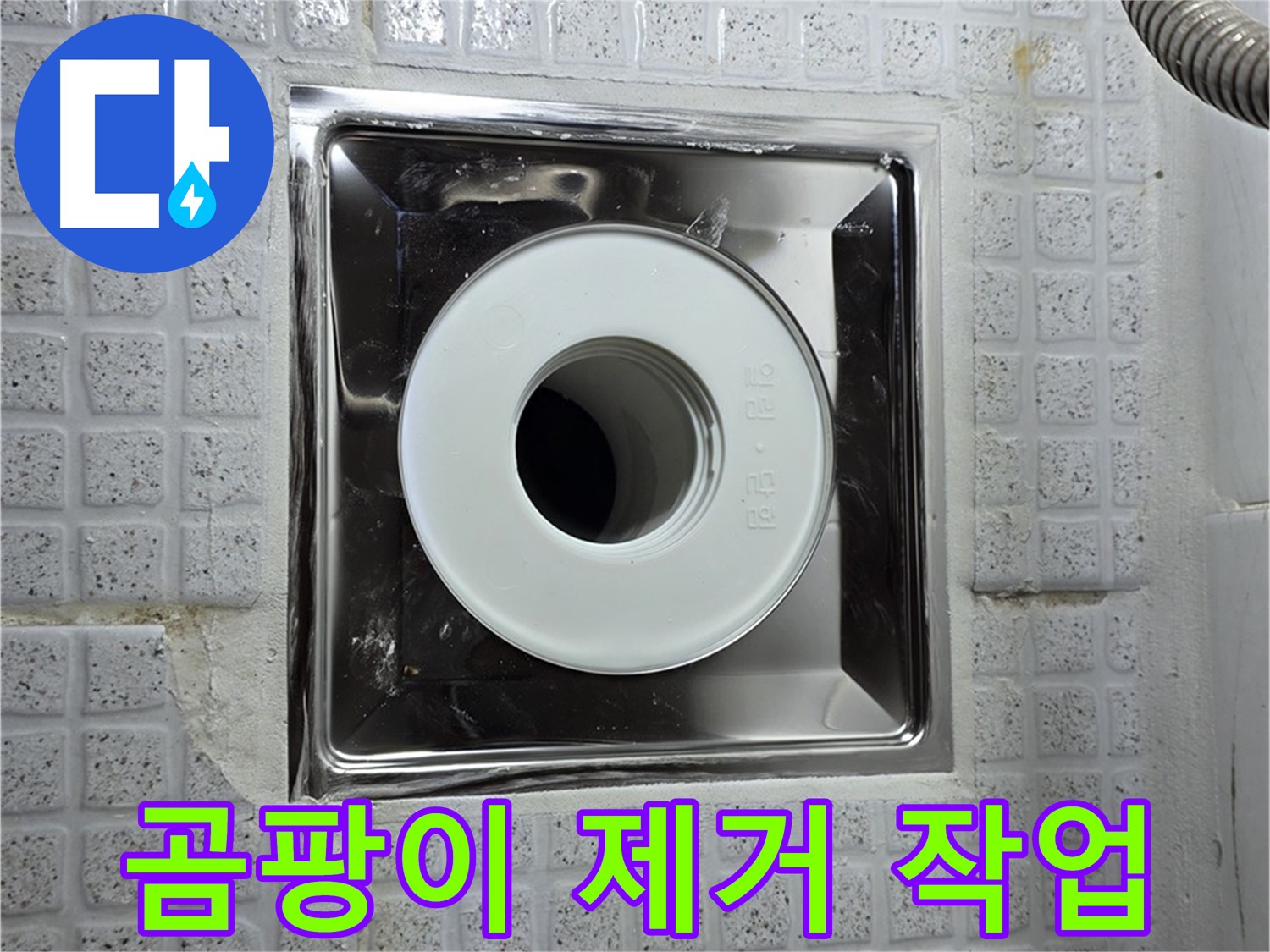 배수구 주변 곰팡이를 깨끗하게 제거하는 모습 - 쾌적한 욕실 환경.